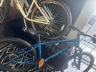 Giant Mt Bike 27.5