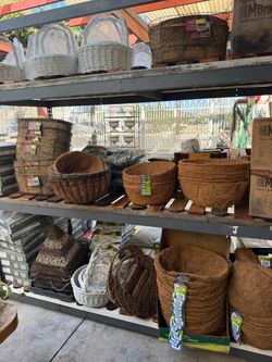 M &M Nursey - plant sale. Everything must go