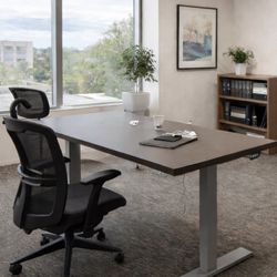 Electric adjustable desk