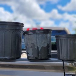 plants pots 