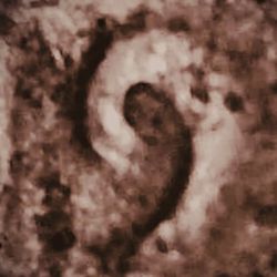 1917 Lincoln Cent DDO