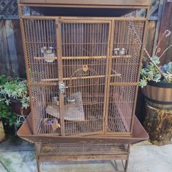 Bird Cage 