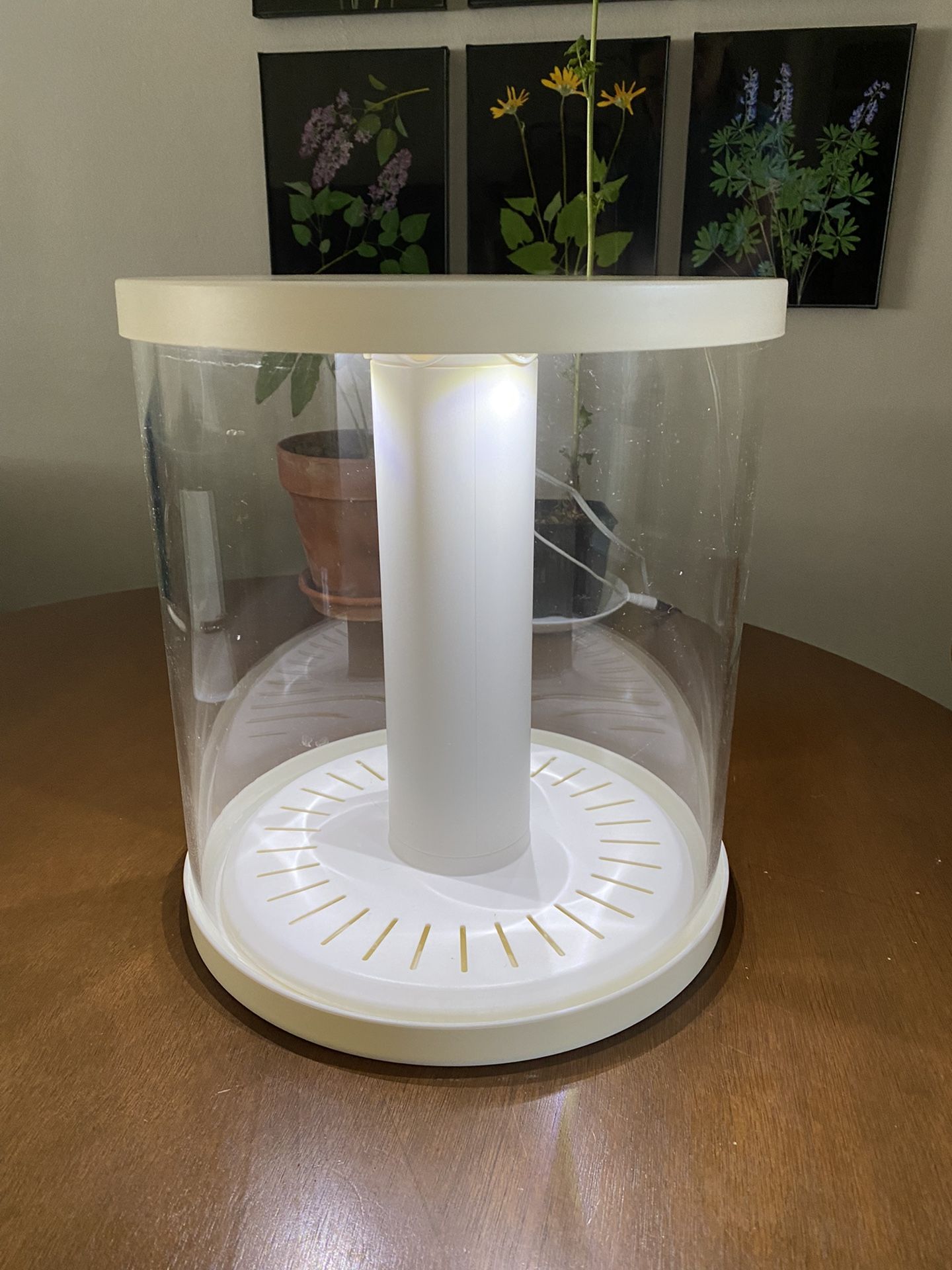 Top Fin 3 Gallon Aquarium