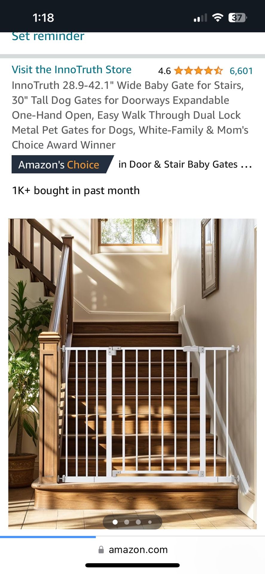 Doggy Gate
