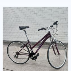 PURPLE UNISEX SCHWINN THIRD AVENUE HYBRID BIKE