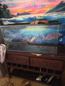 Reptile tank