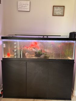 Large 60 gallon Glass Fish Tank with Black Stand w/fluvall filter 125 gallons