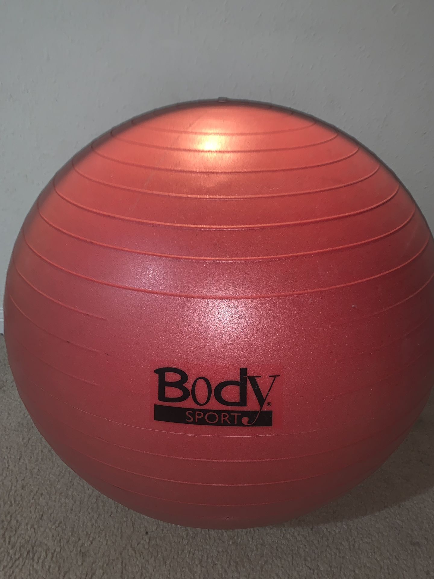 Exercise Ball