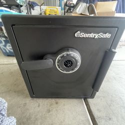 Sentry Safe