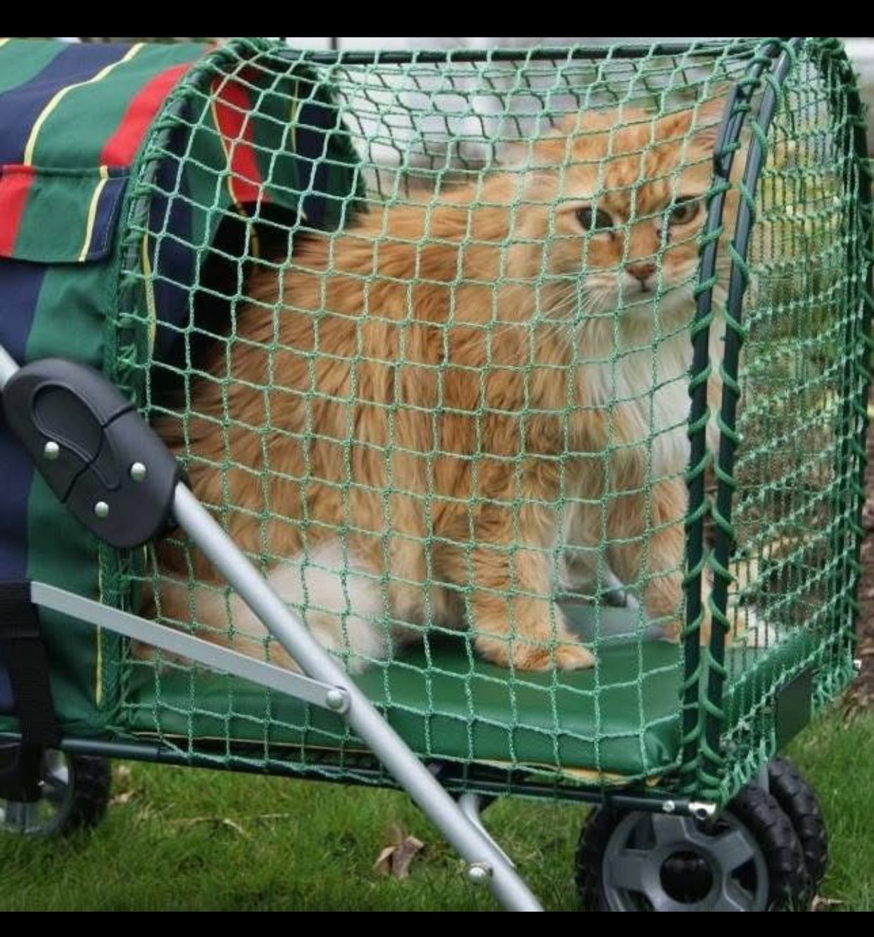 Kitty Walk Pet Stroller by "Kittywalk" Green Mesh Detachable Carrier Rare