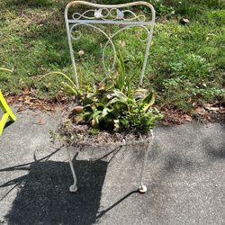 Succulent Chair 