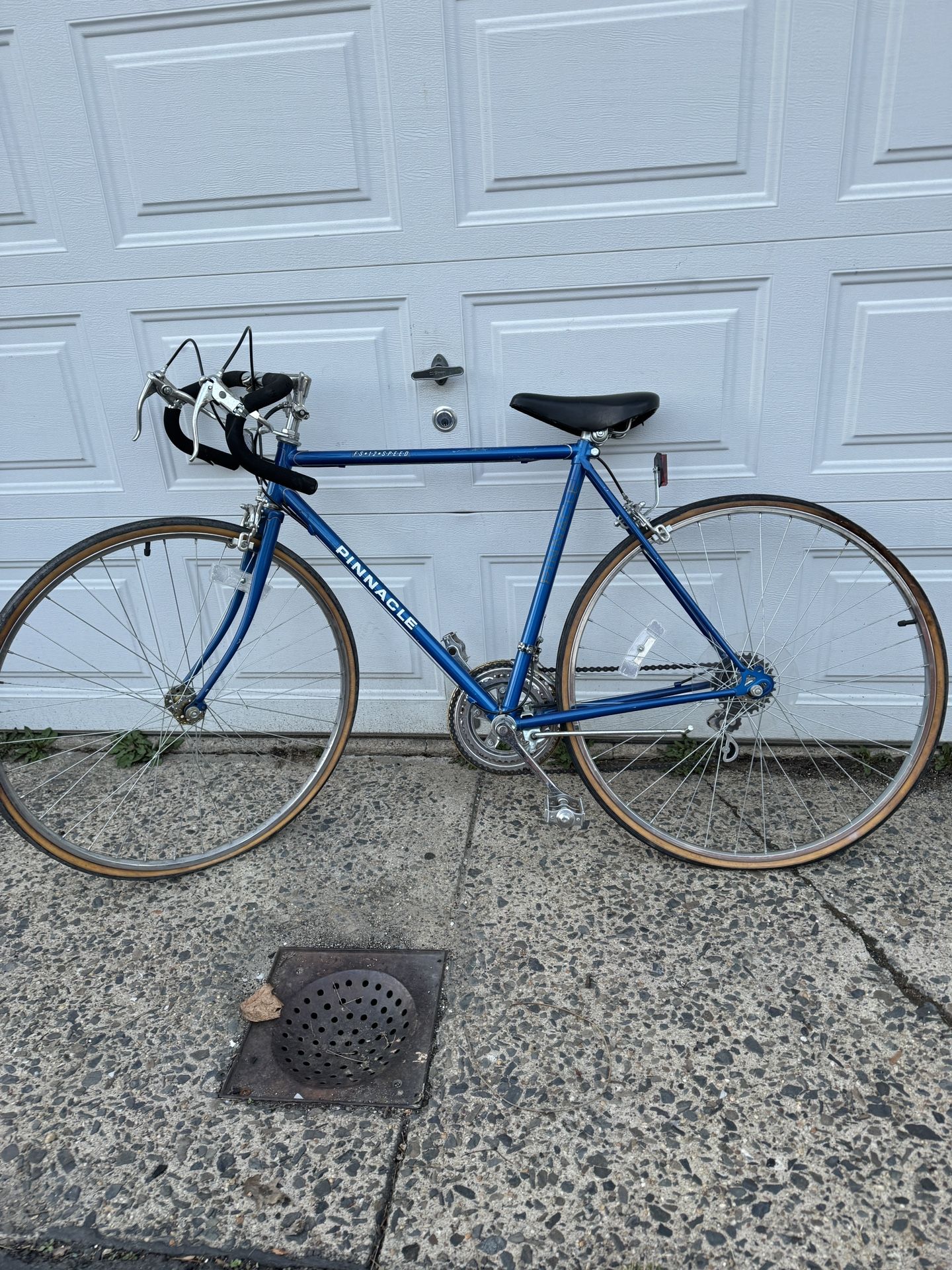 Pinnacle 12 Speed Free Spirit Bicycle - made in Korea🇰🇷