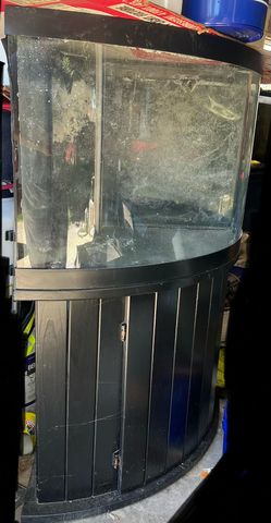 65Gallon Corner Tank