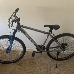 Bamcbase Bike 