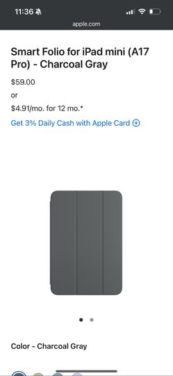 iPad Mini case