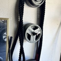 Fitness Equipment 