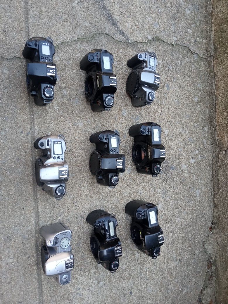 Wholesale Canon Film Camera Body Lot (Need Gone ASAP | Firm Price !)