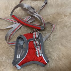 Dog Harness And Leash