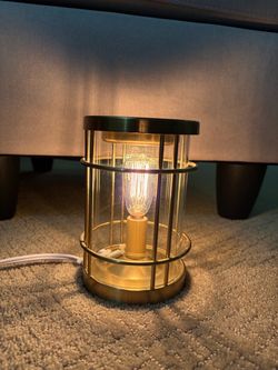 Industrial Cage Table Lamp and scented wax warmer with Edison Bulb
