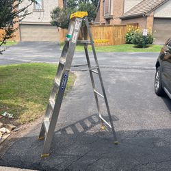 Ladder, New