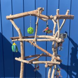 Macaw / Cockatoo Parrot Play Tree … Made Of Hard Durable Ribbon Wood 🪵!! Lasts For Years …