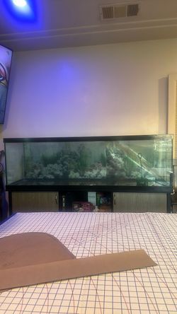 150 gallon fish tank with accessories