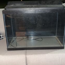 20 Gallon Fish Tank