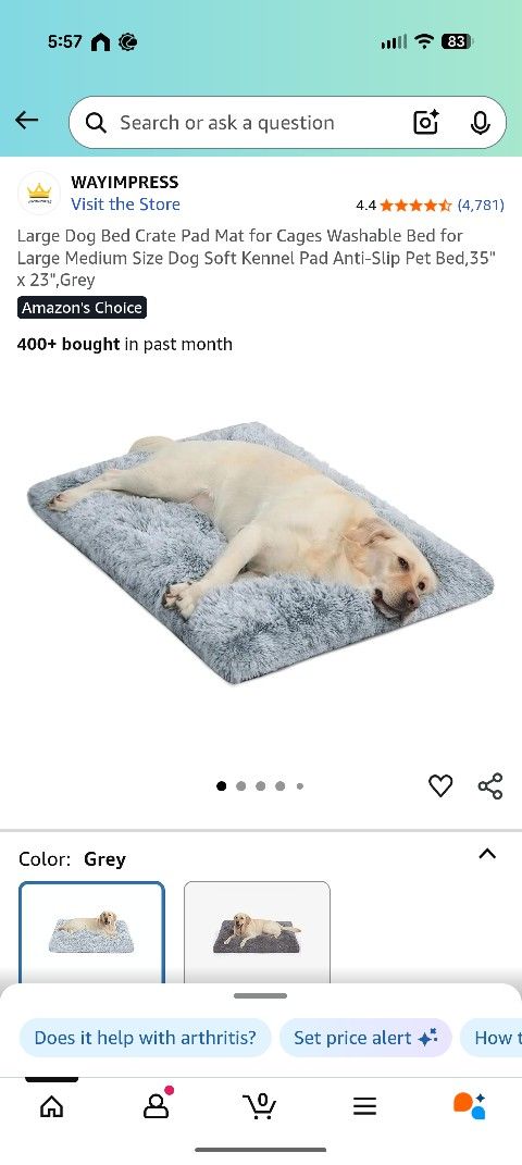 Large Dog Bed