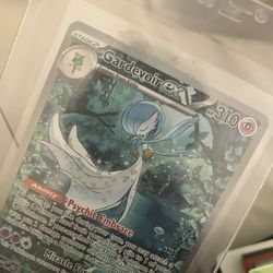 Gardivoir Pokémon Sir 
