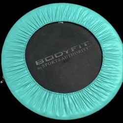 Sports Authority Mini Trampoline