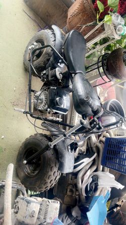 Mini bike