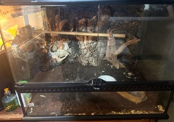 Reptile enclosure with built background