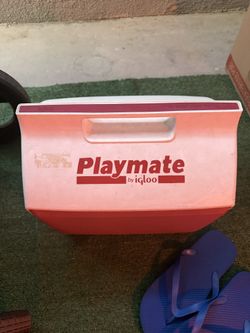 igloo personal cooler