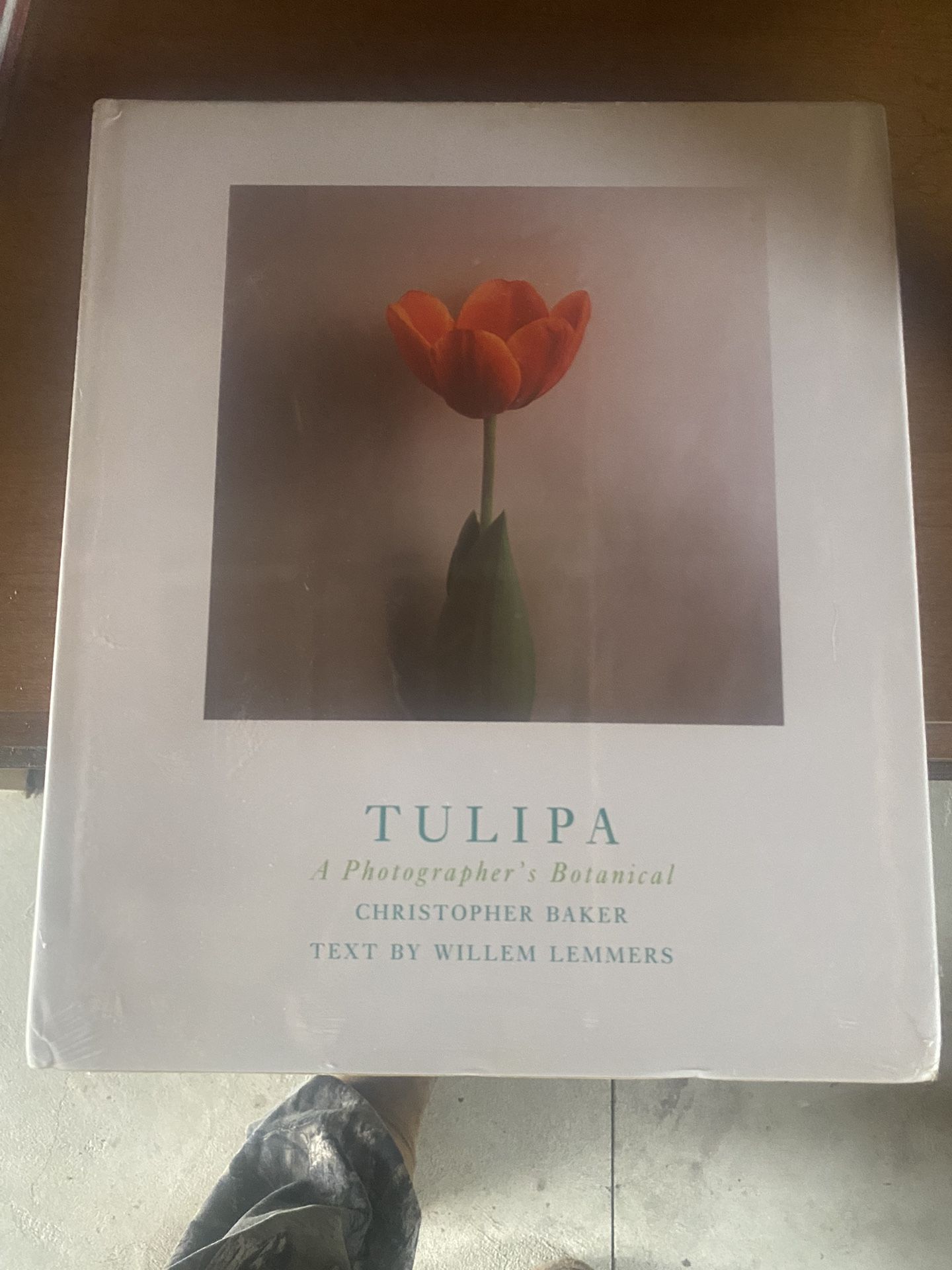 Tulipia A Photographers, Botanical