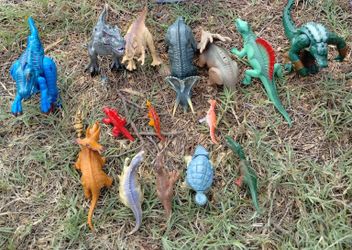 Dino Bundle