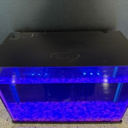 Fish Tank and Rocks
