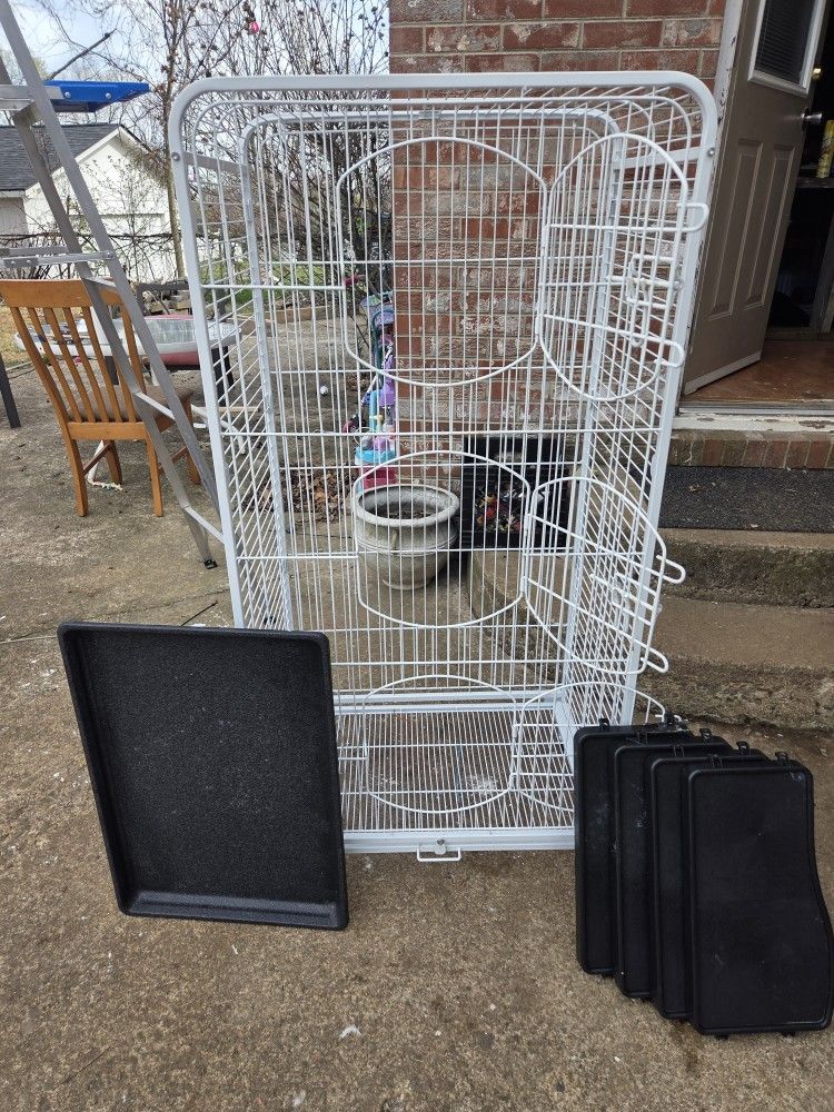 Bird Cage