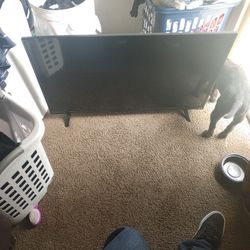 37" Vizio Flat Screen