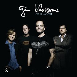 2 FRONT ROW tix - Gin Blossoms