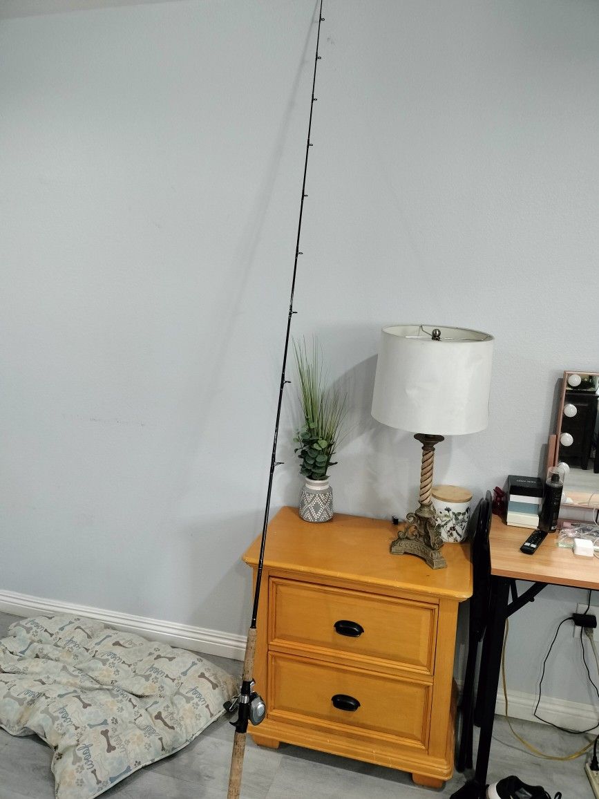 American Spirit Rod And Abu Garcia Revo Reel for Sale in Westminster