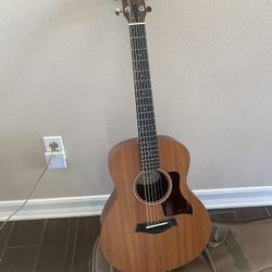 Taylor GS mini