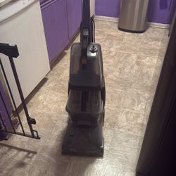 Carpet Cleaner