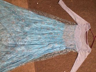 Elsa from Frozen Halloween costume adult