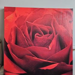 Beautiful Rose Print Artwork