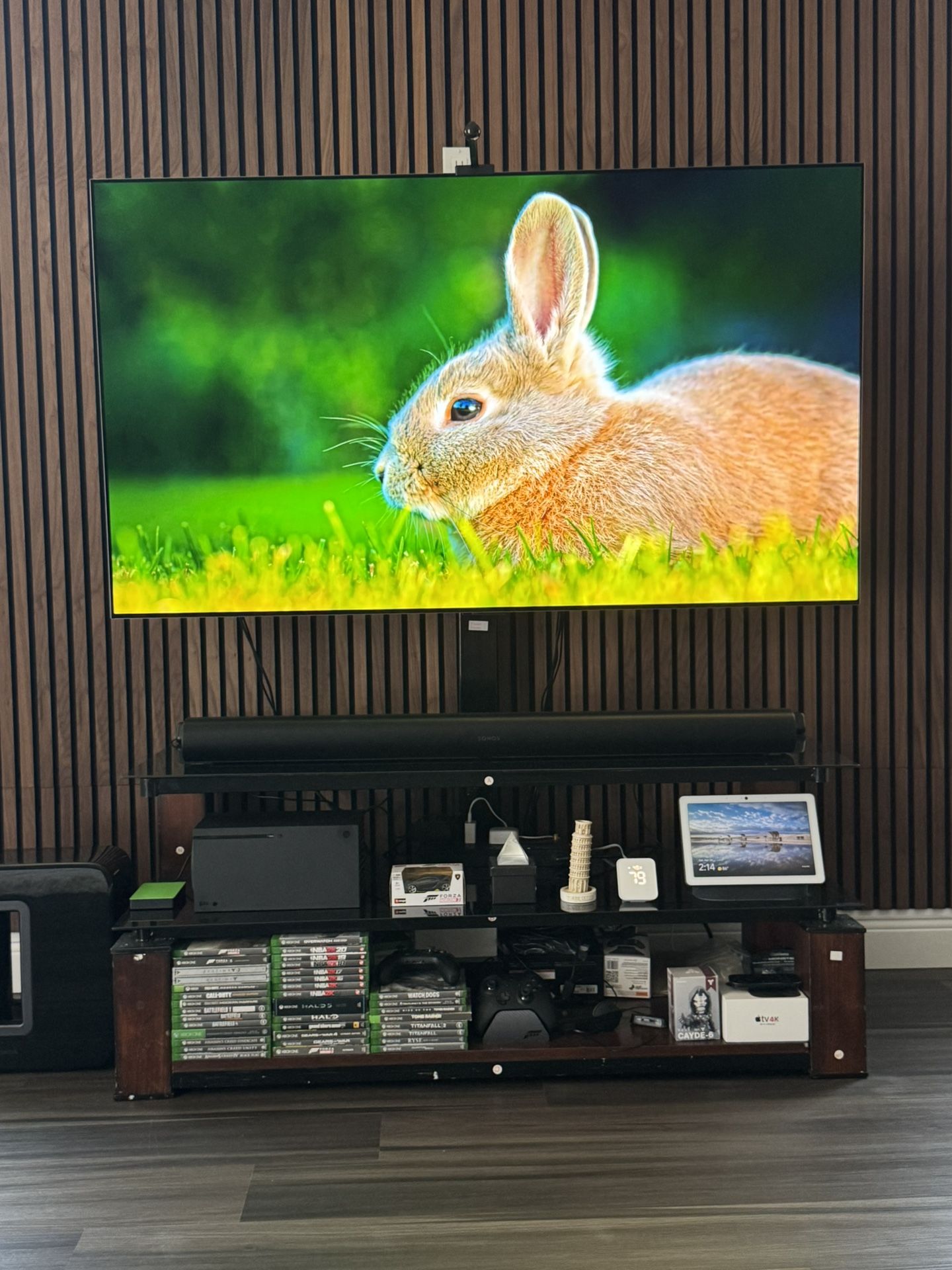 LG OLED 65 Inch TV