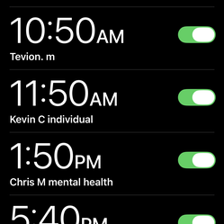 The north face duffle bag (Like new)