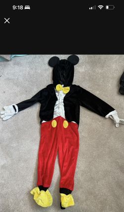 Mickey Costume