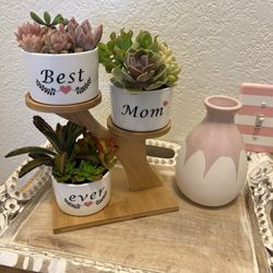 Mothers day succulent gift. 3 live Succulent plants in ceramic planters with stand. 