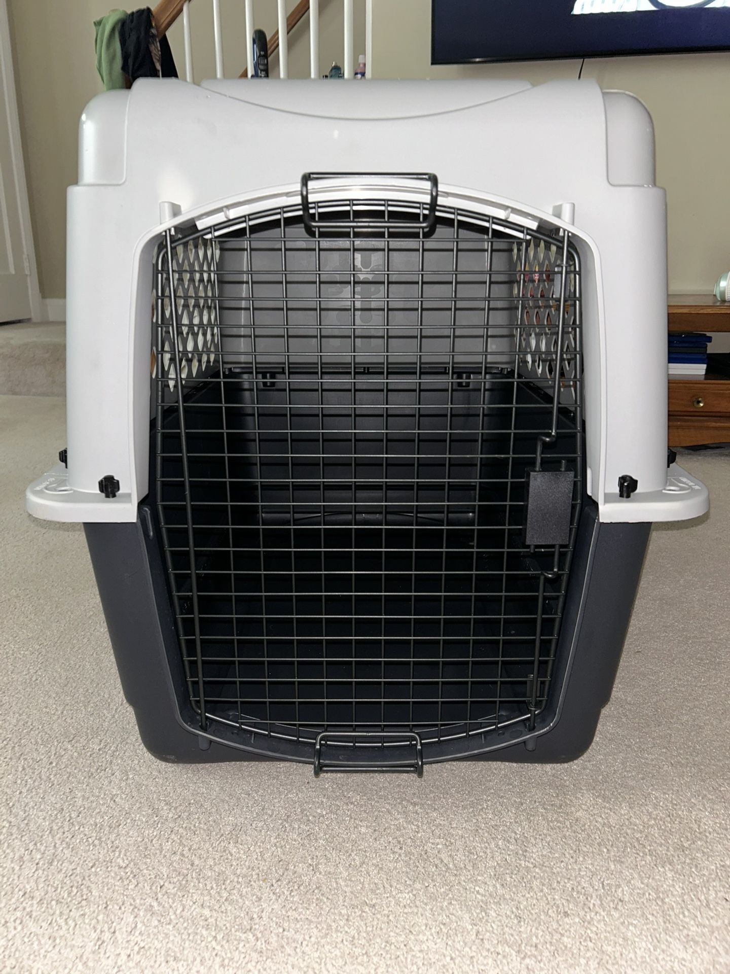Pet Kennel