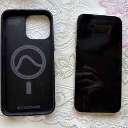 iPhone 15 Pro Max; Silver; 256 GB; Unlocked + Caudabe Case (Sheath)